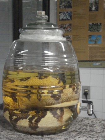 Centro de Venenos do IJF. Fotos: Marcus Peixoto